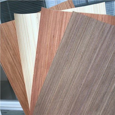 Recon Wiċċ Fuljetta